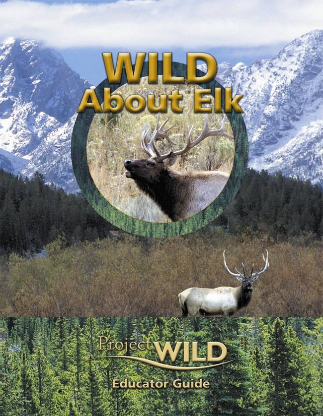 WILD About Elk