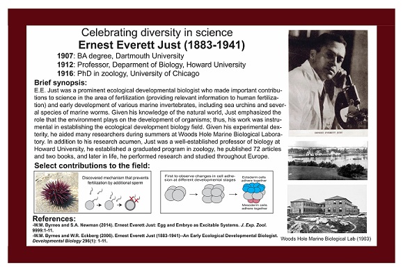Ernest Everett Just - Biologist