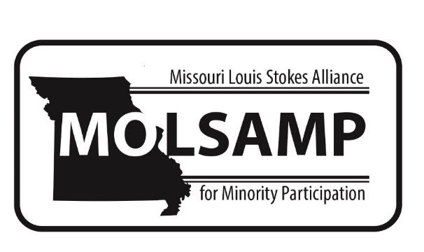Missouri Louis Stokes Alliance for Minority Participation