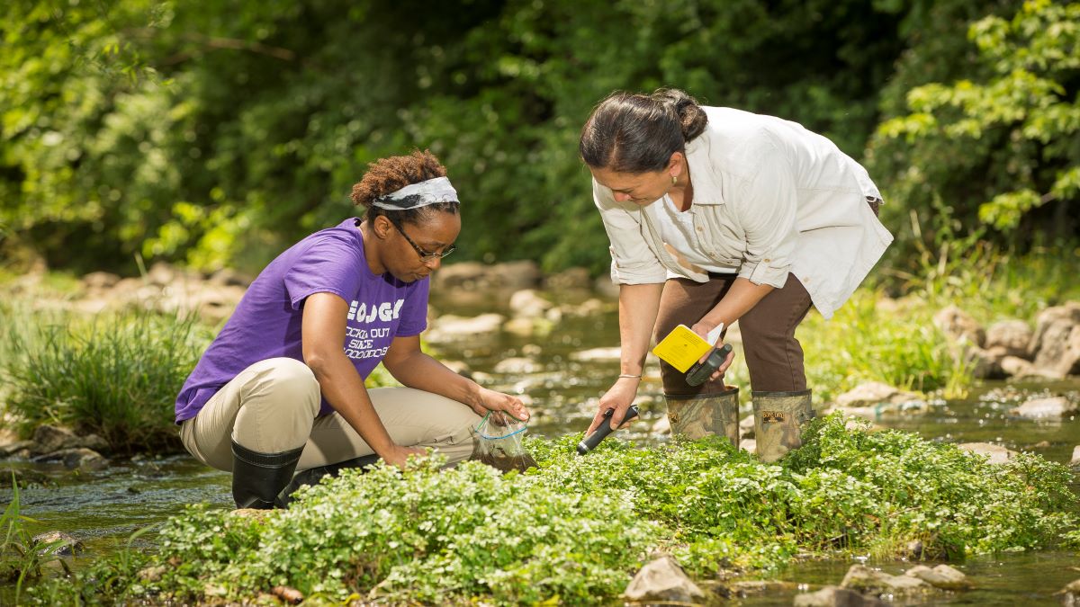 A biology professor and a student collecting samples from a creek
