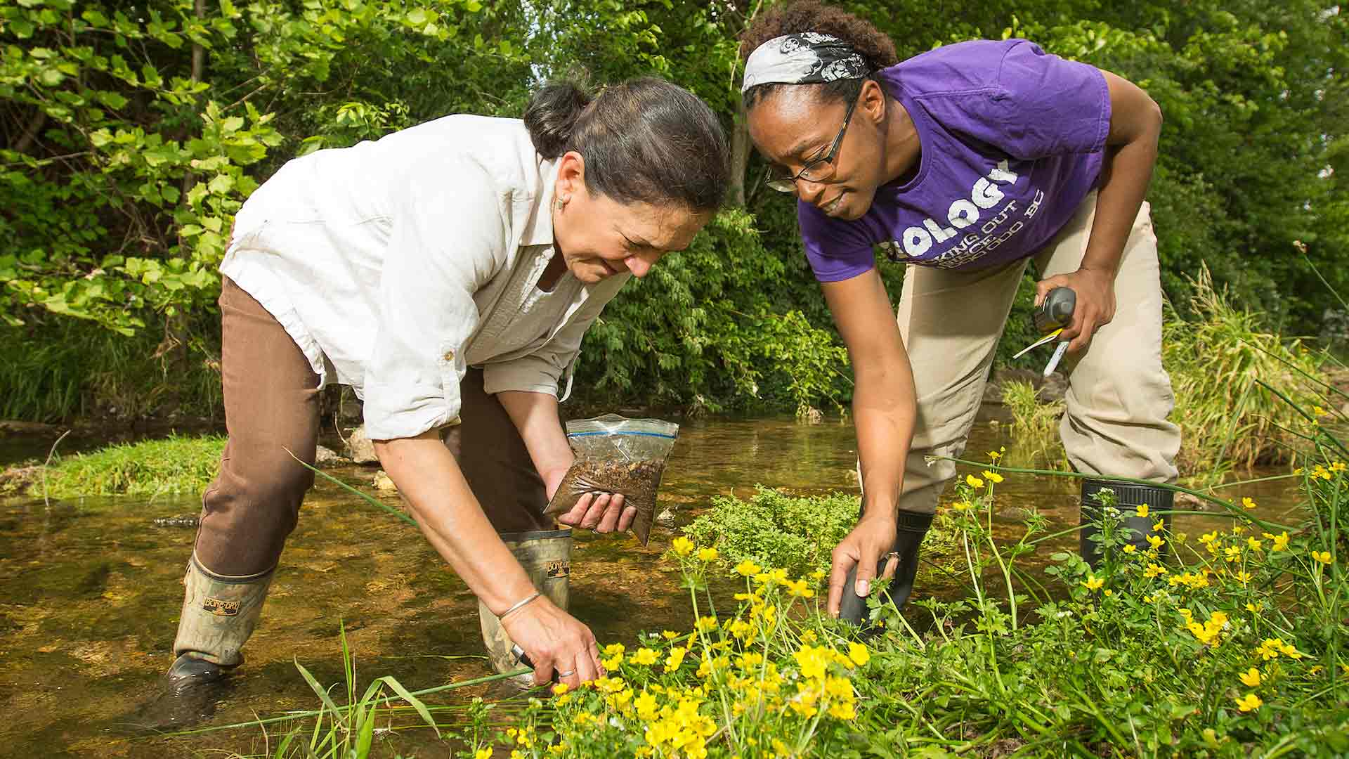 Geography professor Dr. Melida Gutierrez and a graduate student collect soil samples from an Ozarks stream.